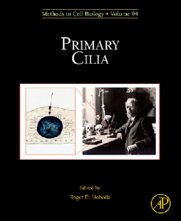 Primary Cilia Primary Cilia
