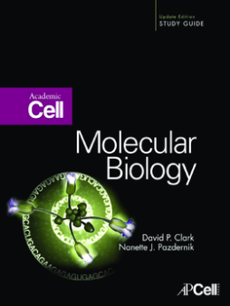 Molecular Biology Molecular Biology