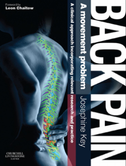 Back Pain - A Movement Problem E-Book