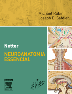 Netter Neuroanatomia Essencial Netter Neuroanatomia Essencial