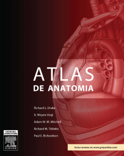 Gray Atlas de Anatomia Gray Atlas de Anatomia