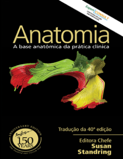 Gray's Anatomia Gray's Anatomia