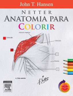 Netter Anatomia para Colorir Netter Anatomia para Colorir