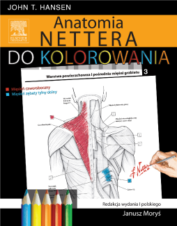 Anatomia Nettera do kolorowania Anatomia Nettera do kolorowania