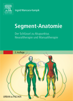Segment-Anatomie Segment-Anatomie