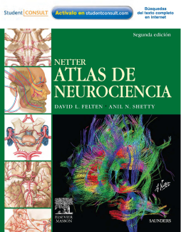 Netter. Atlas de Neurociencias Netter. Atlas de Neurociencias