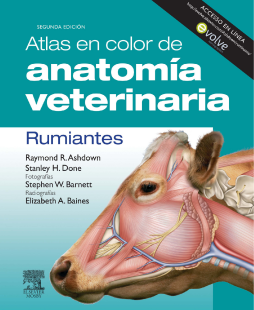 Atlas en color de anatomía veterinaria. Rumiantes + Evolve Atlas en color de anatomía veterinaria. Rumiantes + Evolve