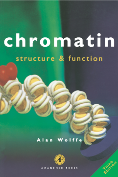 Chromatin Chromatin