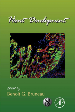 Heart Development Heart Development