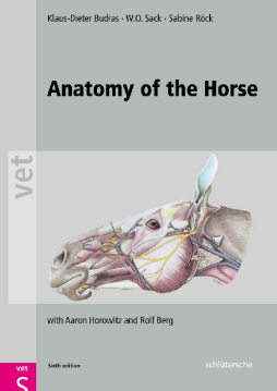 Anatomy of the Horse Anatomy of the Horse