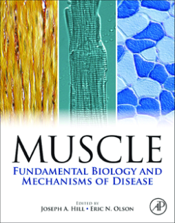 Muscle 2-Volume Set Muscle 2-Volume Set