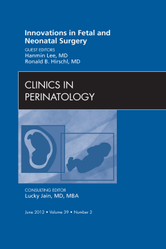 Innovations in Fetal and Neonatal Surgery, An Issue of Clinics in Perinatology - E-Book Innovations in Fetal and Neonatal Surgery, An Issue of Clinics in Perinatology - E-Book