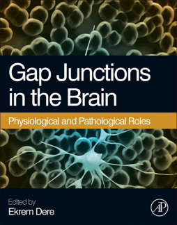 Gap Junctions in the Brain Gap Junctions in the Brain