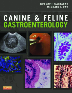 LIC - Canine and Feline Gastroenterology LIC - Canine and Feline Gastroenterology