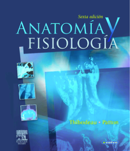Anatomía y fisiología Anatomía y fisiología