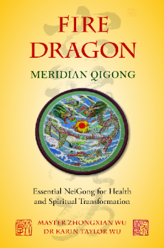 Fire Dragon Meridian Qigong Fire Dragon Meridian Qigong