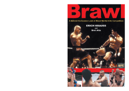 Brawl Brawl