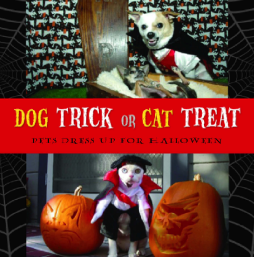Dog Trick Or Cat Treat Dog Trick Or Cat Treat
