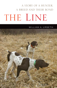 The Line The Line