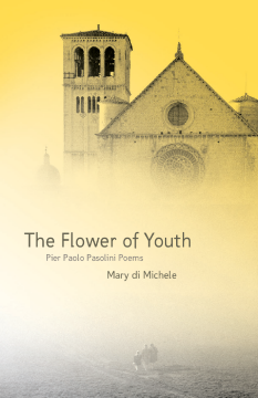 The Flower Of Youth The Flower Of Youth