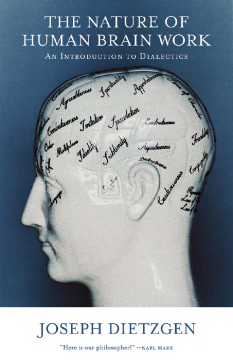 Nature Of Human Brain Work Nature Of Human Brain Work