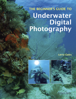 The Beginner's Guide To Underwater Digital Photography