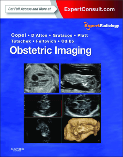 Obstetric Imaging E-Book Obstetric Imaging E-Book