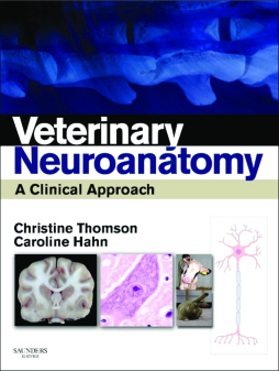 Veterinary Neuroanatomy - E-Book