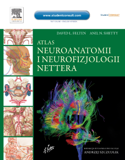 Atlas neuroanatomii i neurofizjologii Nettera, wyd. II