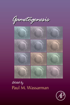 Gametogenesis Gametogenesis