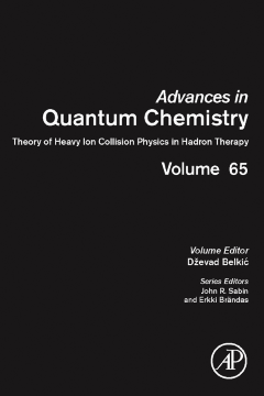 Theory of Heavy Ion Collision Physics in Hadron Therapy Theory of Heavy Ion Collision Physics in Hadron Therapy