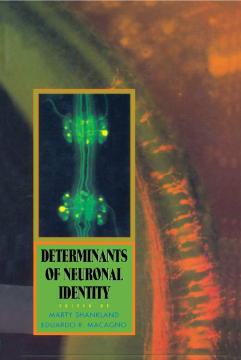 Determinants of Neuronal Identity Determinants of Neuronal Identity