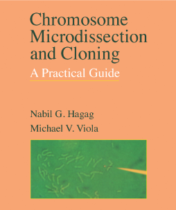 Chromosome Microdissection and Cloning Chromosome Microdissection and Cloning