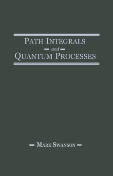 Path Integrals and Quantum Processes Path Integrals and Quantum Processes