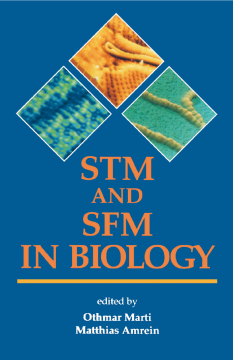 STM and SFM in Biology STM and SFM in Biology
