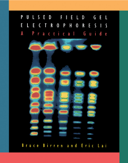 Pulsed Field Gel Electrophoresis Pulsed Field Gel Electrophoresis