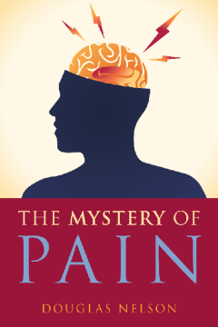 The Mystery of Pain The Mystery of Pain
