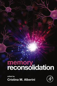 Memory Reconsolidation Memory Reconsolidation
