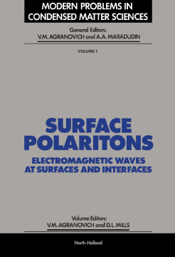 Surface Polaritons