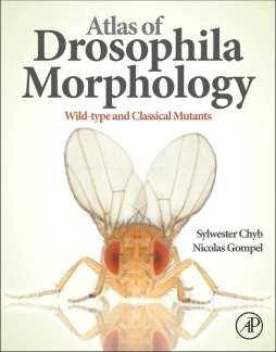 Atlas of Drosophila Morphology Atlas of Drosophila Morphology