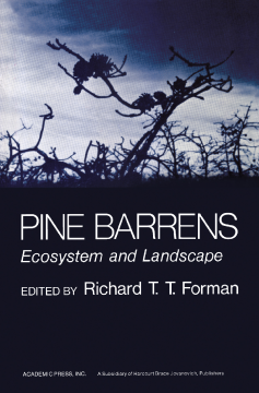 Pine Barrens Pine Barrens