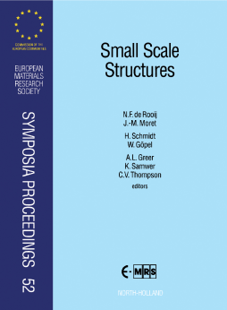 Small Scale Structures Small Scale Structures