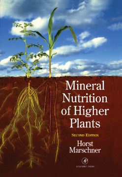 Mineral Nutrition of Higher Plants Mineral Nutrition of Higher Plants