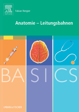 BASICS Anatomie - Leitungsbahnen BASICS Anatomie - Leitungsbahnen