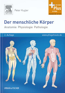 Der menschliche Körper Der menschliche Körper