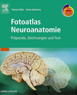 Fotoatlas Neuroanatomie Fotoatlas Neuroanatomie