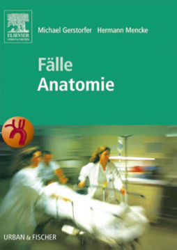 Fälle Anatomie Fälle Anatomie