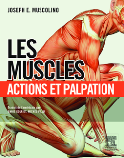 Know the Body: Muscle, Bone, and Palpation Essentials - E-Book