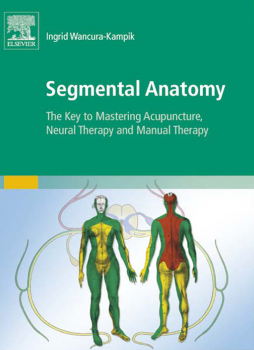 Segmental Anatomy Segmental Anatomy