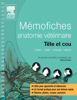 Mémofiches anatomie vétérinaire - Tête et cou Mémofiches anatomie vétérinaire - Tête et cou